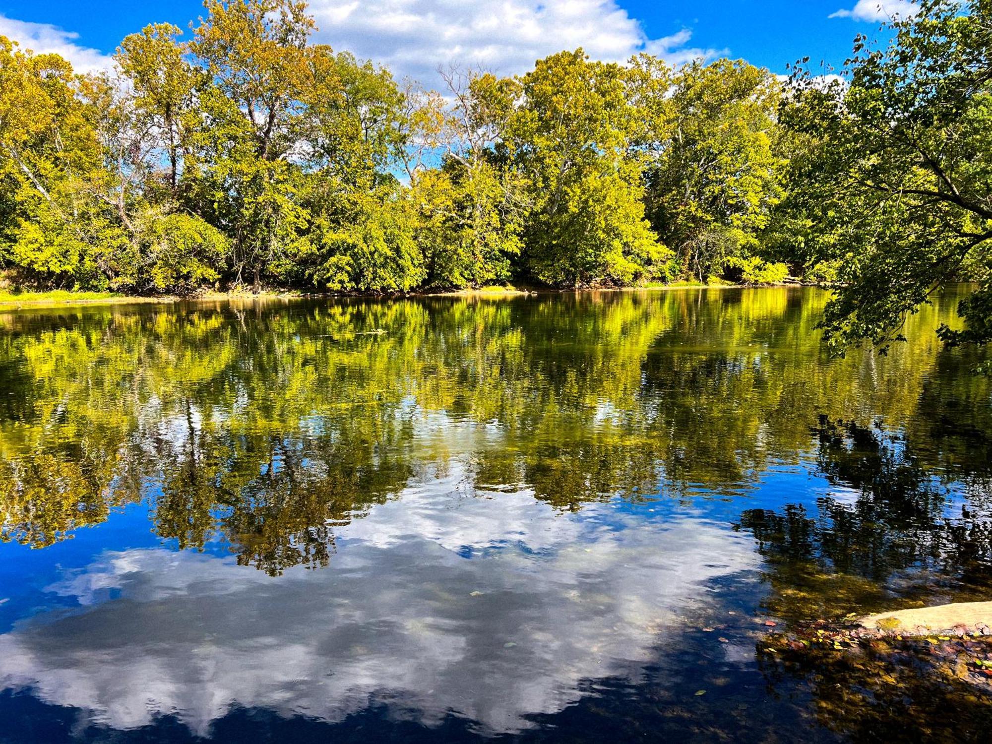 Luray Rv Resort On Shenandoah River Eksteriør billede